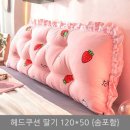 비글리 이미지