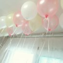 베이비랜드 이미지