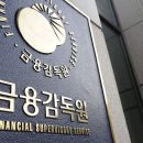 금융감독원 이미지