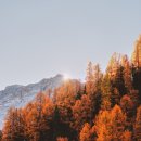 으뜸50안경 성신여대점 이미지