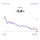 [내돈내산]평촌 푸른달한의원 린(Lean) 다이어트 33일 후기 - 여전히 진행 중