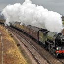 하모니카 연주 이미지