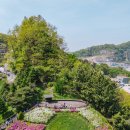 피나클랜드 이미지