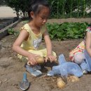 좌삼초등학교 이미지