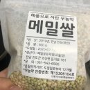 메밀꽃 유채향 네이버블로그