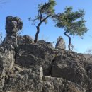 서대산드림리조트 이미지