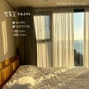 남해벚꽃길지나서 이미지