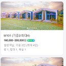 민들레미코 이미지