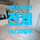 G00066 네이버블로그