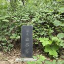 대전둘레산길(7구간) 이미지