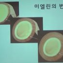 미엘린