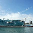 신동아수산물종합시장 이미지