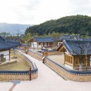 신라불교초전지 Daum카페