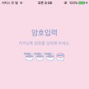 미미카페