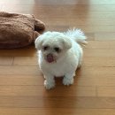 일우약국 | 목요일은 블로그 쓰는 날