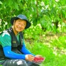 게으름뱅이농장
