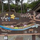 별빛공원 (옥외1) | 3주 연속 주말마다 방문한 울산 신불산 작천정별빛야영장 17번 27번 41번 사이트 캠핑후기