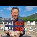 흥농상회 이미지