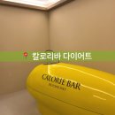 머슬헬프 | [수원 / 다이어트] 칼로리바 다이어트 수원 인계점