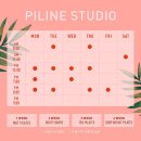 필라인그룹(주) 이미지