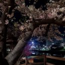 이마트24 온천벚꽃점 네이버블로그