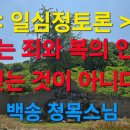 일심정토론 : 불교는 죄와 복의 인과를 믿는 것이 아니다 이미지