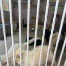 프리펫시티 이미지