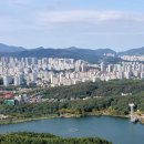 돌마농장 이미지