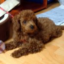 수원-0787 이미지