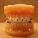 고정치과의원 이미지