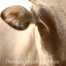 토종축산 이미지