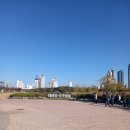 대숲여행 이미지