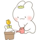 자담치킨 평택고덕점 이미지