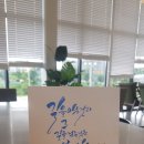 캘리스테이