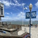 39 | 샌프란시스코여행 PIER39 BOUDIN 솔직후기
