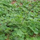 효경농장 이미지