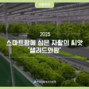 동구지역자활센터 | [찾아가는 자활현장] 스마트팜에 심은 자활의 씨앗, 부산동구지역자활센터 &#39;샐러드와팜&#39; 🌱🥗