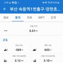 양천초교 Daum카페