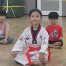 용인대 금메달 태권도장 이미지