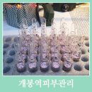 2001아울렛구로점 이미지