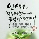 이젠버리지마세요ㅡ 쌀뜨물의 놀라운 효능 12가지ㅡ 각종 냄새 제거ㅡ 기름때 제거 (천연세제) ㅡ 화분의 영양제 ㅡ 유리창 청소 할때 이미지