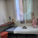 스테이 고대 이미지