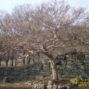 2011년 9월 계룡산_고개 셋을 넘어 3사를 하루에 둘러보기