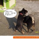 깜댕이 이미지