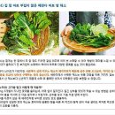 소소한텃밭