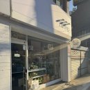 벨리타 | 부산열대어 수족관 벨리타 방문후기