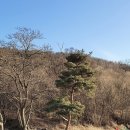 휴양림하우스 이미지