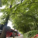 R12 | [직관일기] 2025.05.06 r12 1-1 무승부 fc안양 vs fc서울 뜨거운 연고지더비 무섭다...