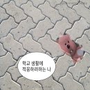 구월이십일 이미지