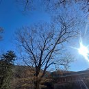 신행부분정비 | 가을이 내려앉은 고성 옥천사, 옥천사는요~~~